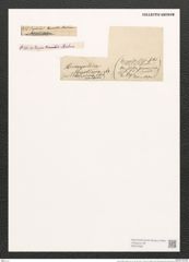 Homoeocladia martiana var. div. Ag. (de-Toni-Nr.: Genus 48, Species 2182) Zeichnungen Sammlung Grunow (NHMW-BOT-W0372583)